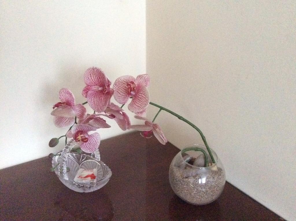 Appartement Kotedzai Milikoniu G. à Kaunas Extérieur photo